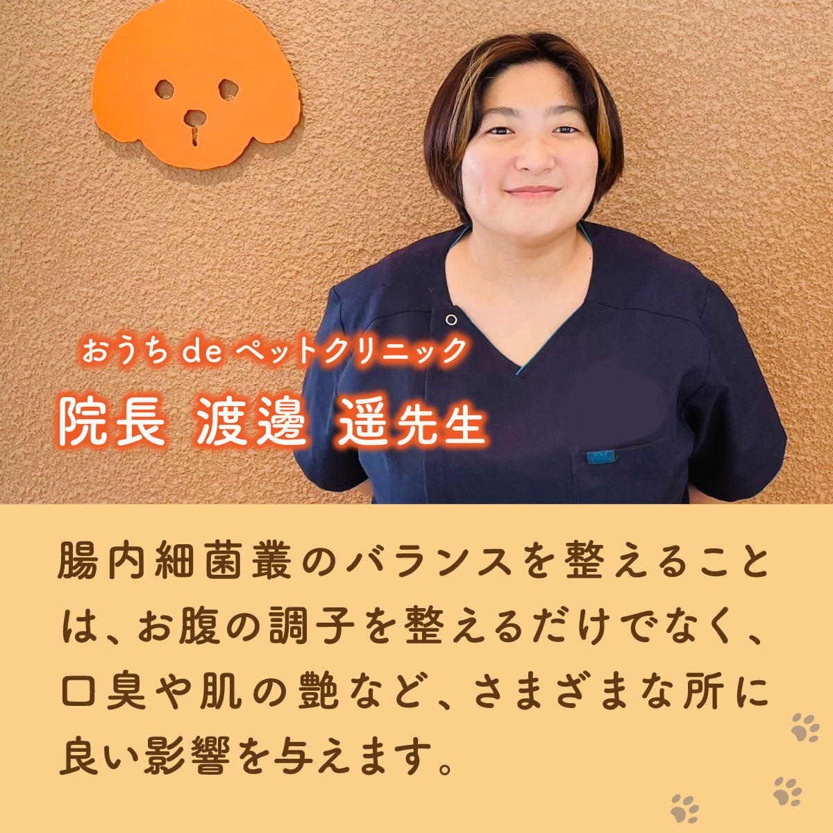 【猫用】乳酸菌&植物酵素サプリメント かつお風味 錠剤30粒
