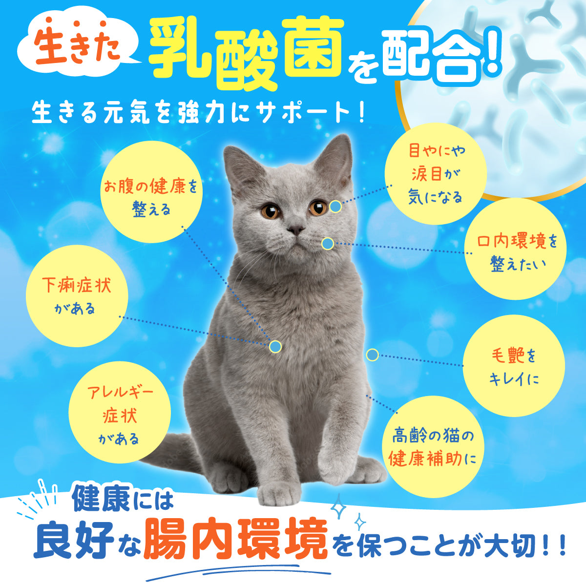 【猫用】乳酸菌&植物酵素サプリメント かつお風味 錠剤30粒