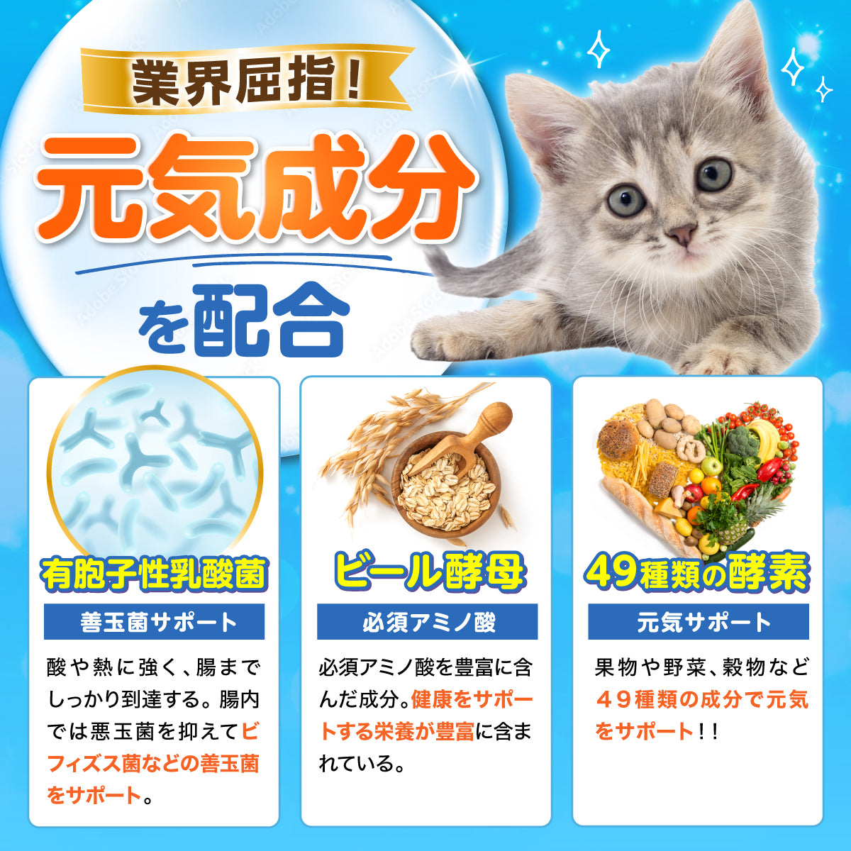 【猫用】乳酸菌&植物酵素サプリメント かつお風味 錠剤30粒