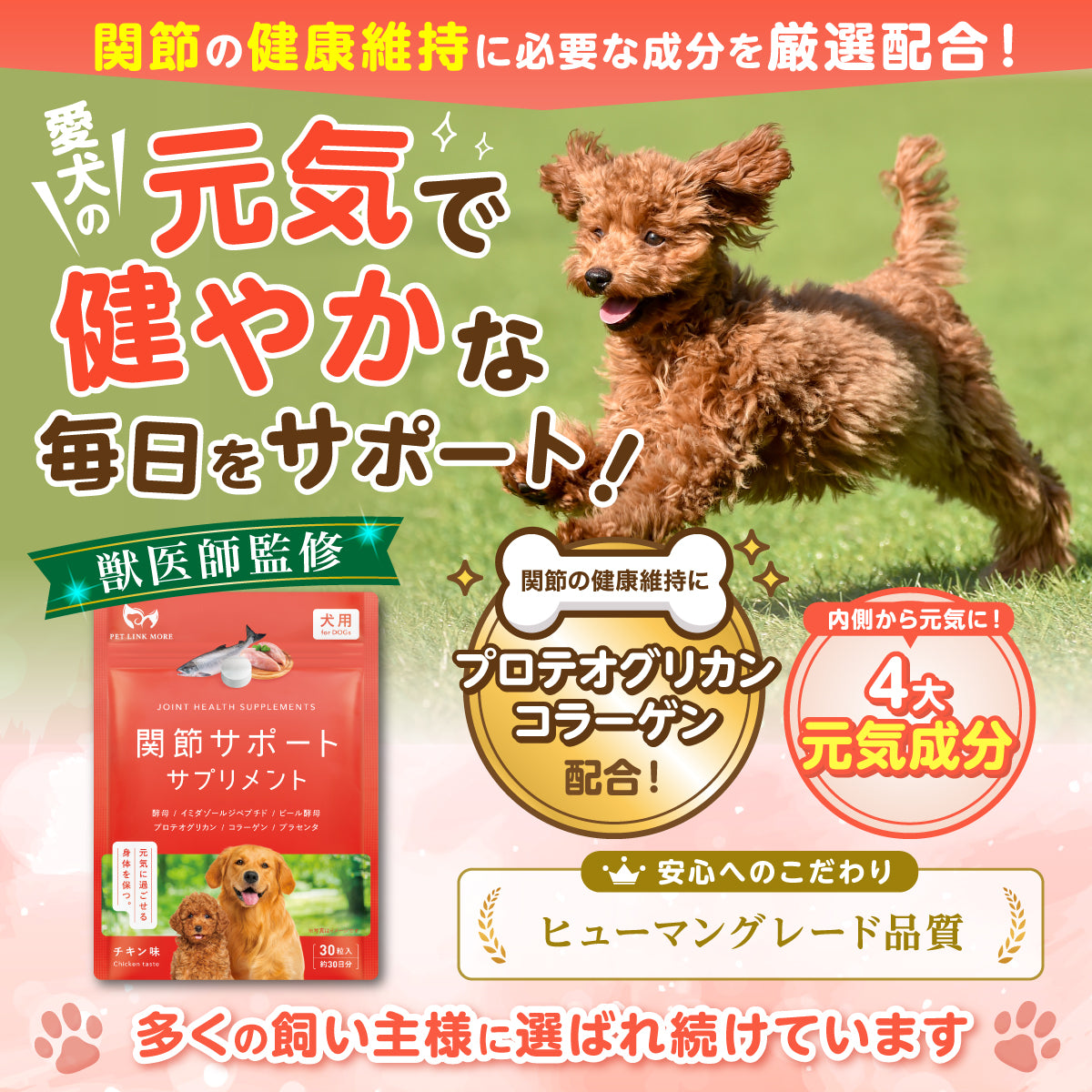 【犬用】関節サポートサプリメント 錠剤30粒