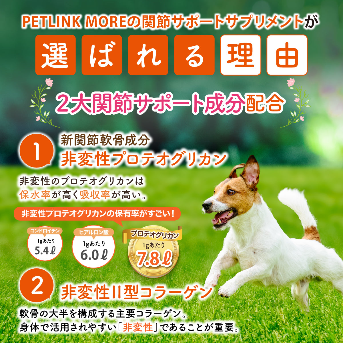 【犬用】関節サポートサプリメント 錠剤30粒