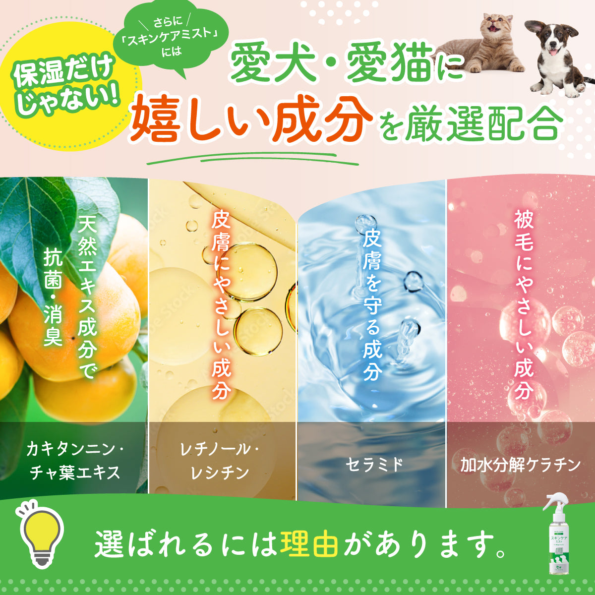 【犬・猫用】スキンケアミスト 100ml