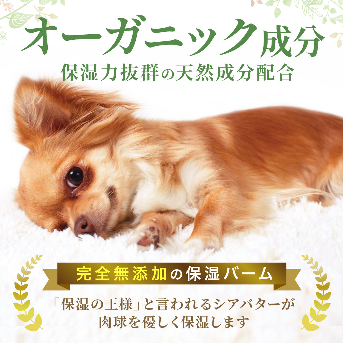 【犬・猫用】肉球クリーム 50g