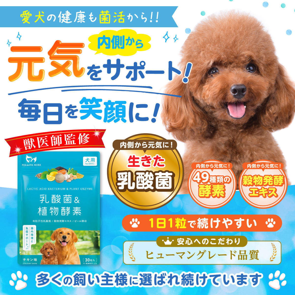【犬用】乳酸菌&植物酵素サプリメント チキン味 錠剤30粒