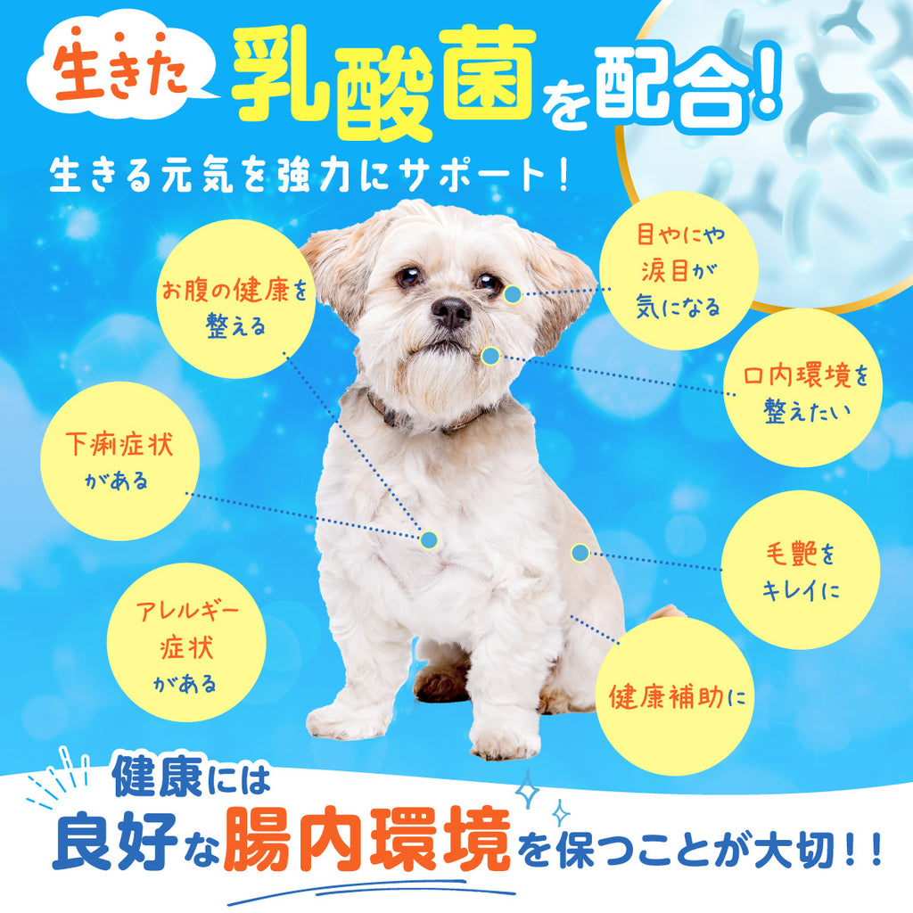 【犬用】乳酸菌&植物酵素サプリメント チキン味 錠剤30粒