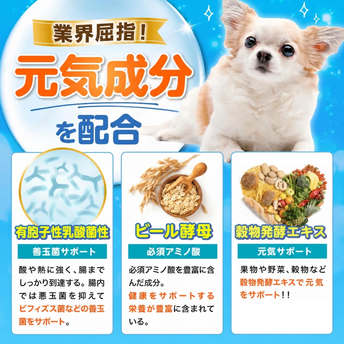 犬用】乳酸菌&植物酵素サプリメント チキン味 錠剤30粒 – PET LINK