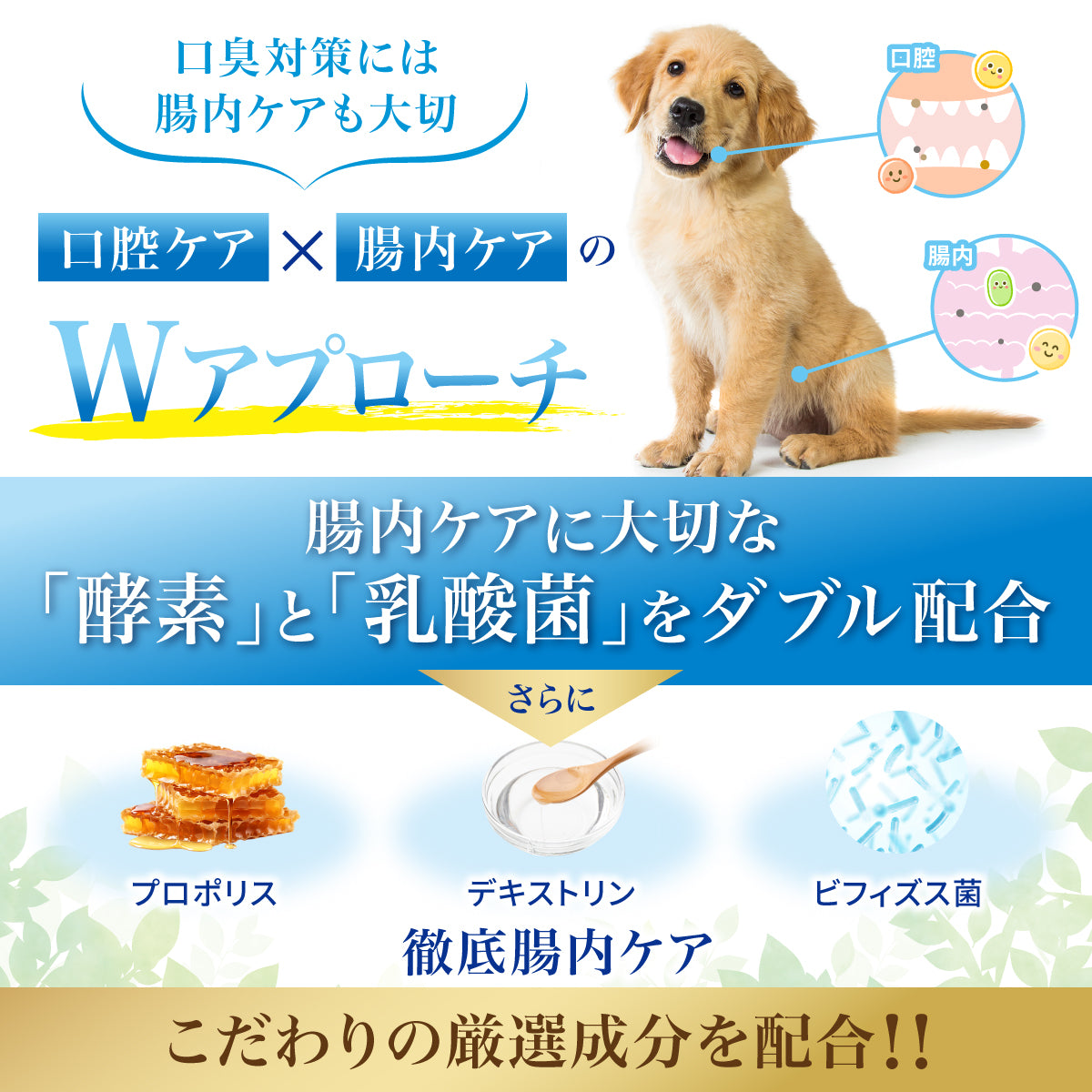 【犬・猫用】口腔ケア ジェル PREMIUM 30g