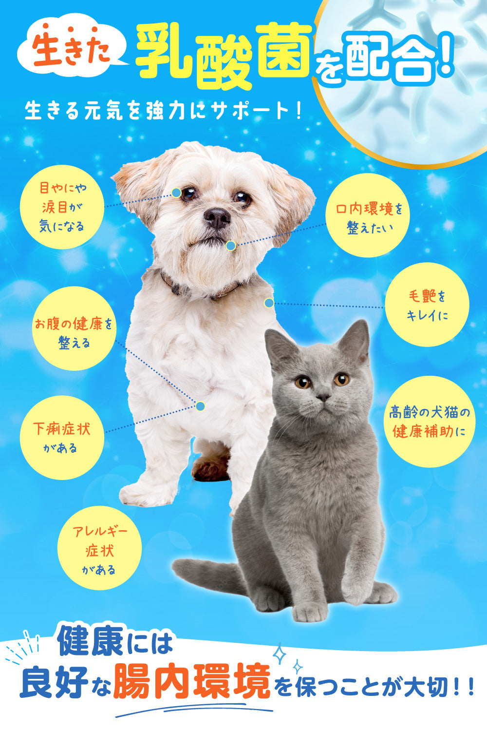 【犬・猫用】乳酸菌&植物酵素サプリメント PREMIUM かつお風味 錠剤30粒