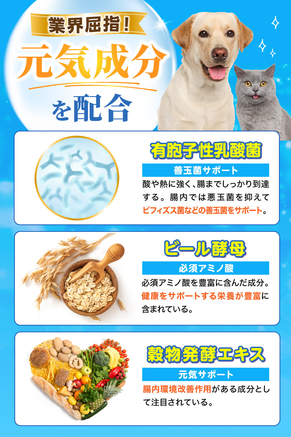 【犬・猫用】乳酸菌&植物酵素サプリメント PREMIUM かつお風味 錠剤30粒