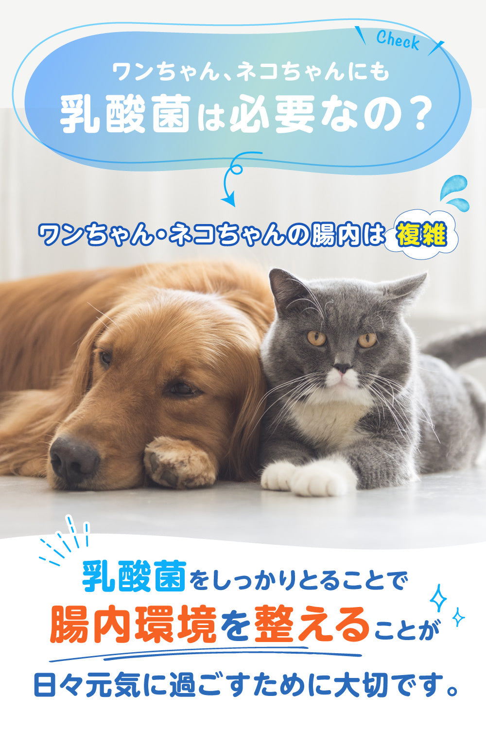 【犬・猫用】乳酸菌&植物酵素サプリメント PREMIUM かつお風味 錠剤30粒