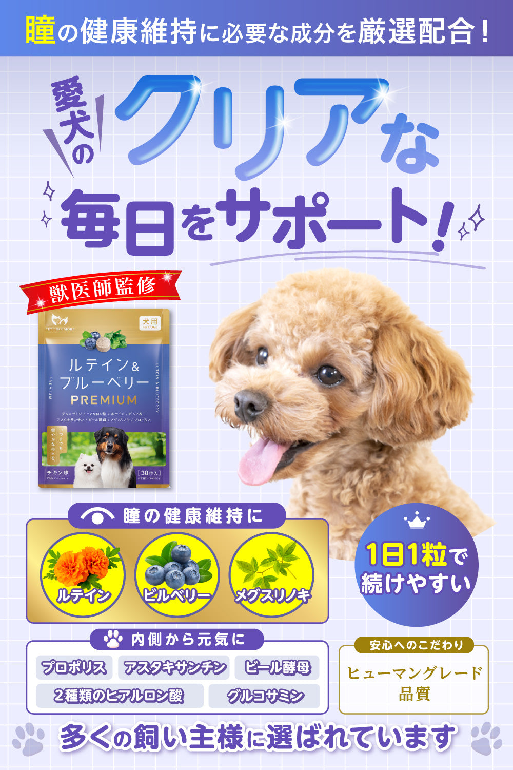 【犬用】ルテイン＆ブルーベリーサプリメントPREMIUM チキン味 錠剤30粒