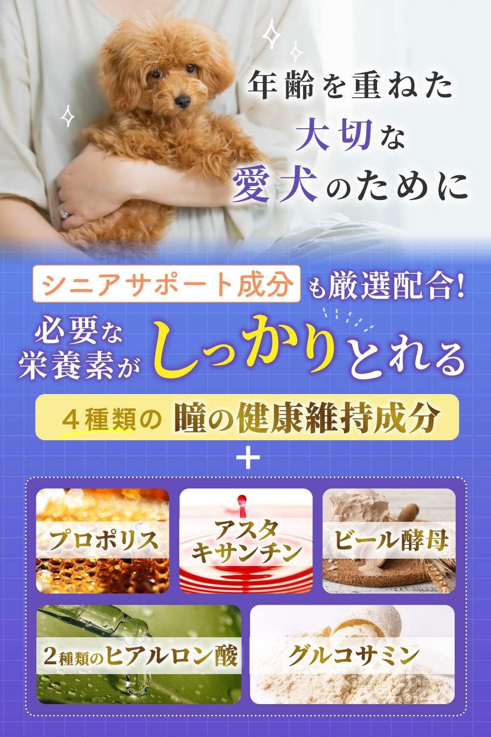 【犬用】ルテイン＆ブルーベリーサプリメントPREMIUM チキン味 錠剤30粒