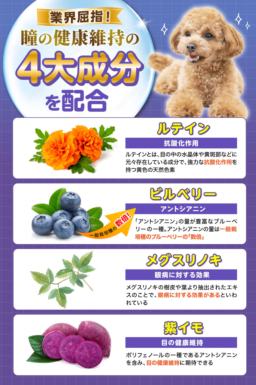 【犬用】ルテイン＆ブルーベリーサプリメントPREMIUM チキン味 錠剤30粒