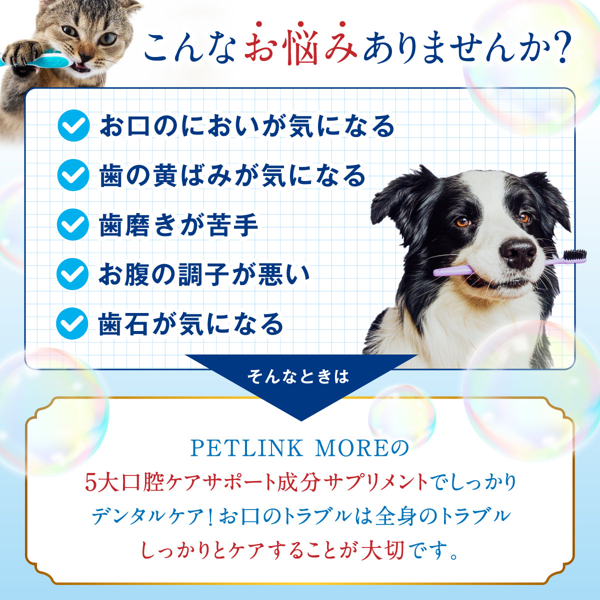 【犬・猫用】口腔ケア サプリメント 錠剤30粒
