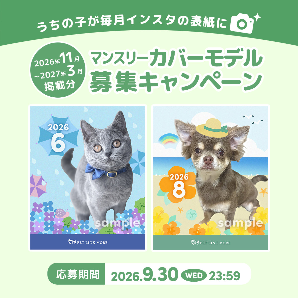 PET LINK MORE ペットリンクモア公式ストア - 犬猫用サプリメント