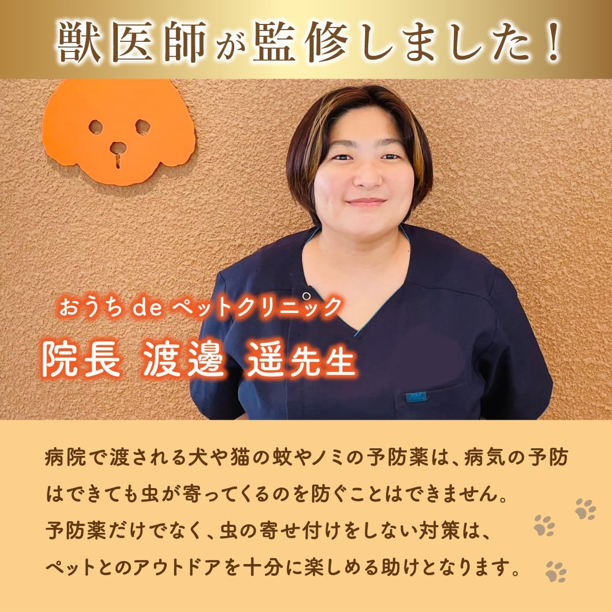 犬猫用アロマスプレー監修 獣医師・渡邊遥先生
