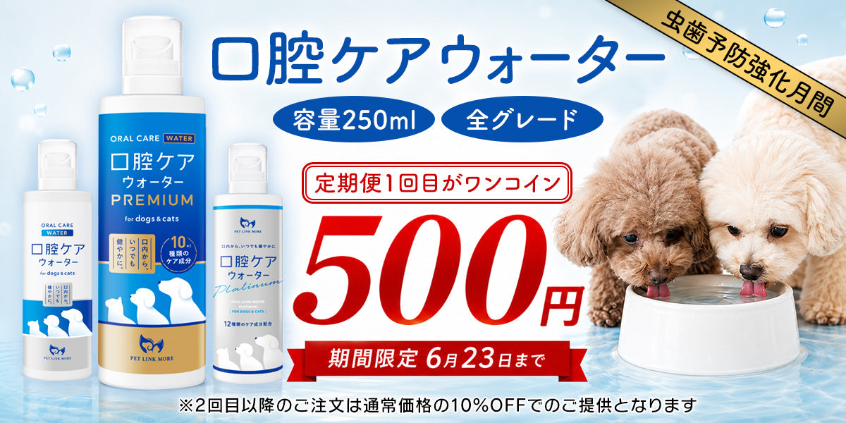口腔ケアウォーター250mlの全グレードが今だけ定期便初回500円！