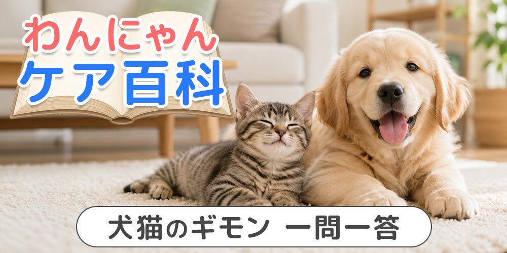 わんにゃんケア百科