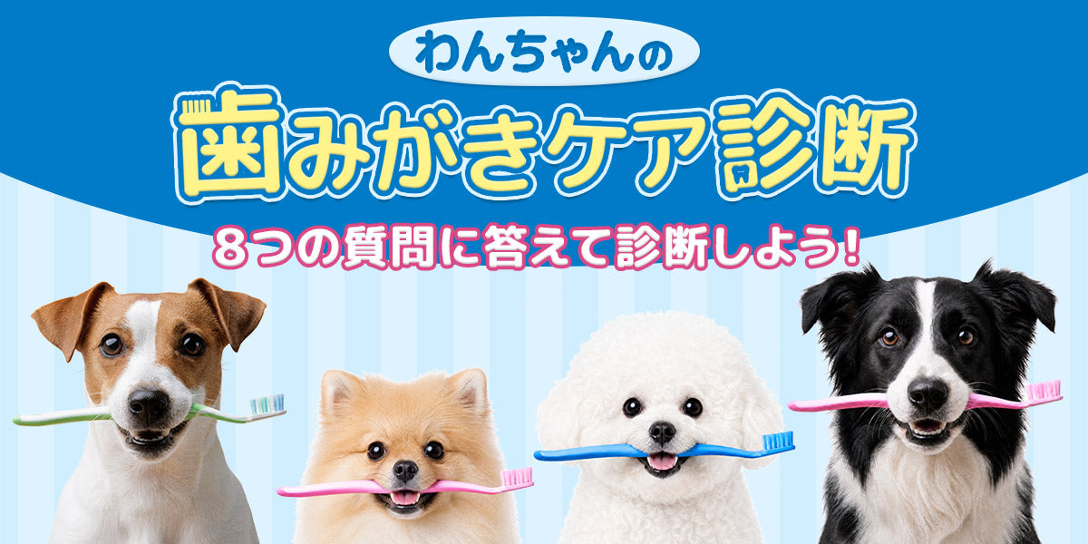 わんちゃんの歯みがきケア診断