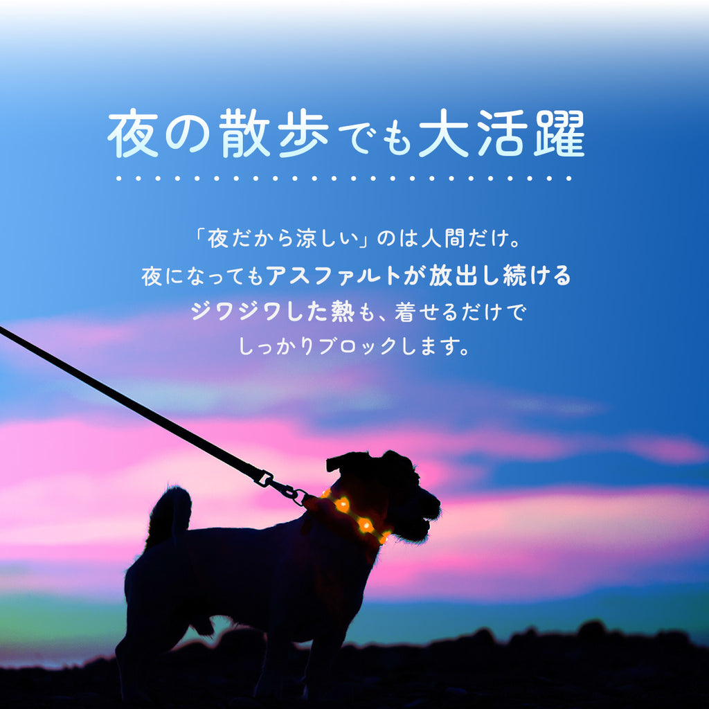 【犬用】小型犬用ひんやりベールウェア Sサイズ
