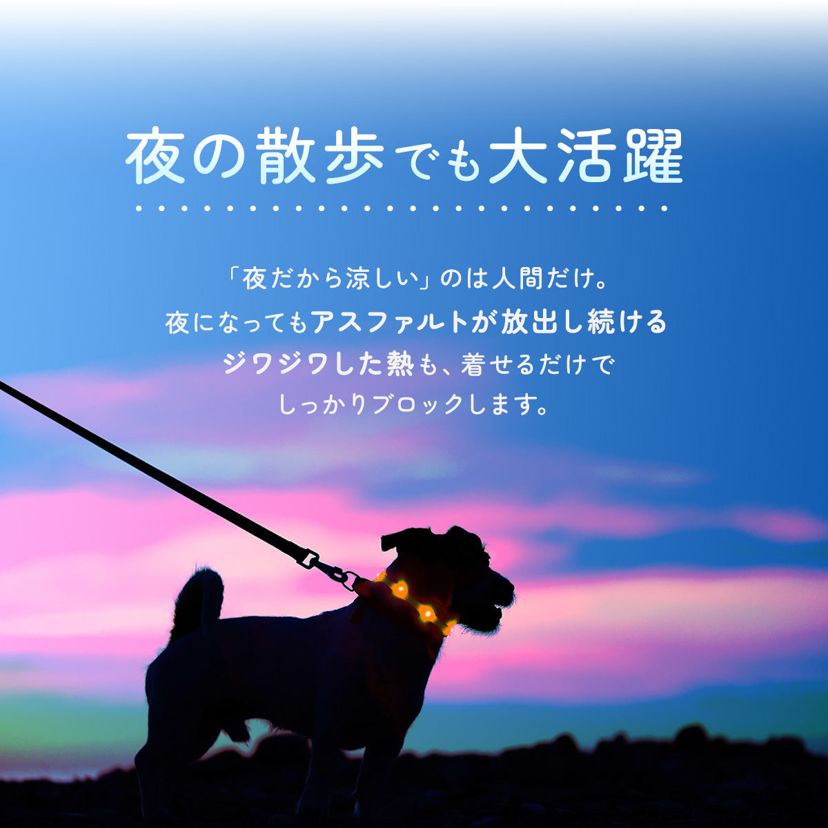【犬用】小型犬用ひんやりベールウェア Sサイズ