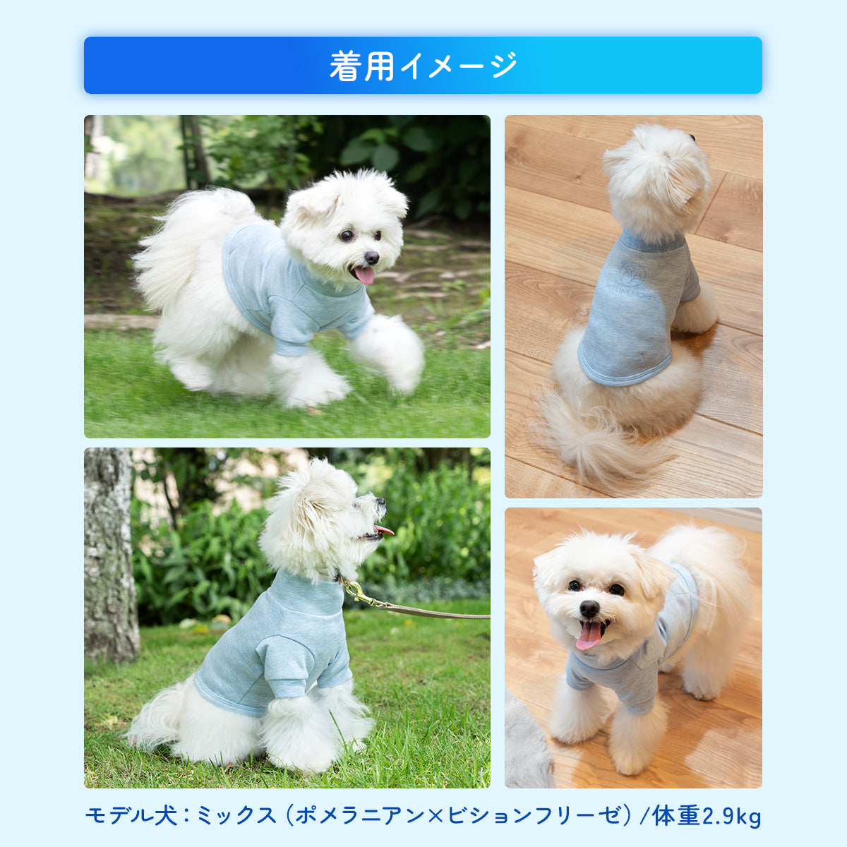 【犬用】小型犬用ひんやりベールウェア Sサイズ