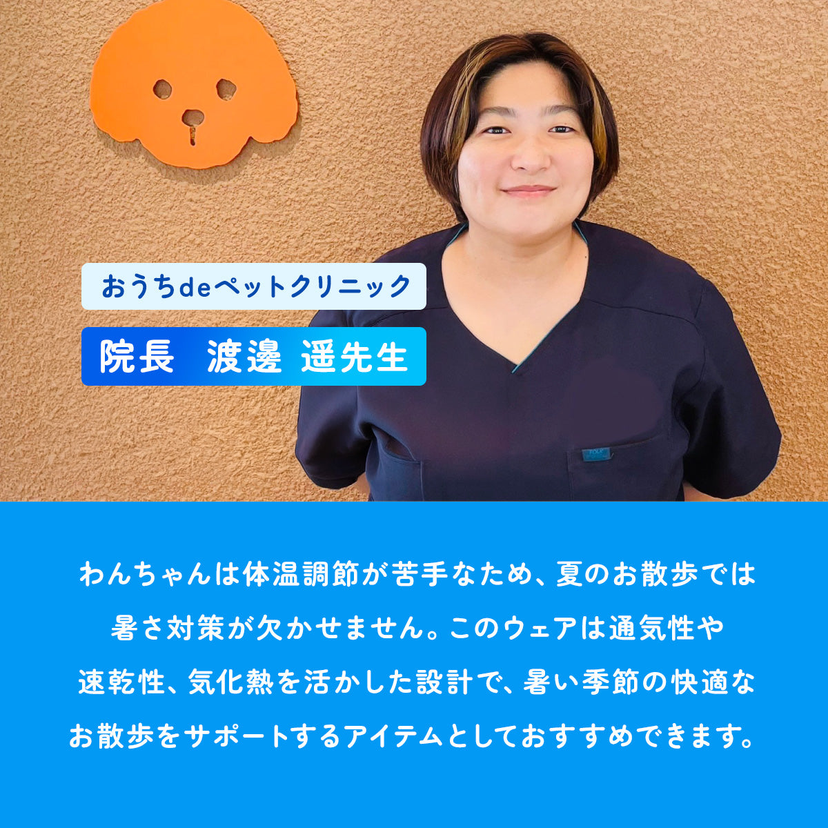 【犬用】小型犬用ひんやりベールウェア Sサイズ