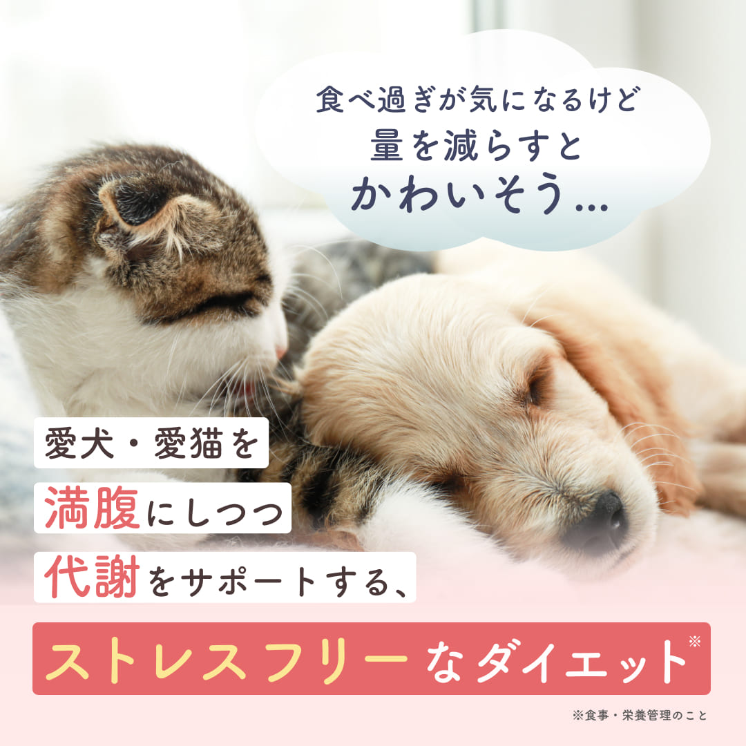 【犬・猫用】ダイエットサプリメント カロリーセーブ & 代謝サポート チキン味  粉末 45g