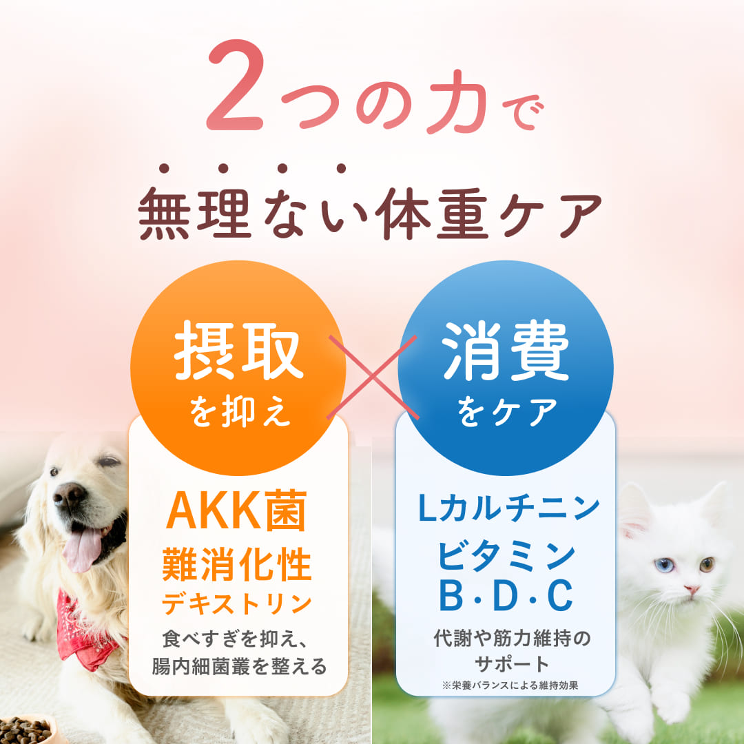 【犬・猫用】ダイエットサプリメント カロリーセーブ & 代謝サポート チキン味  粉末 45g