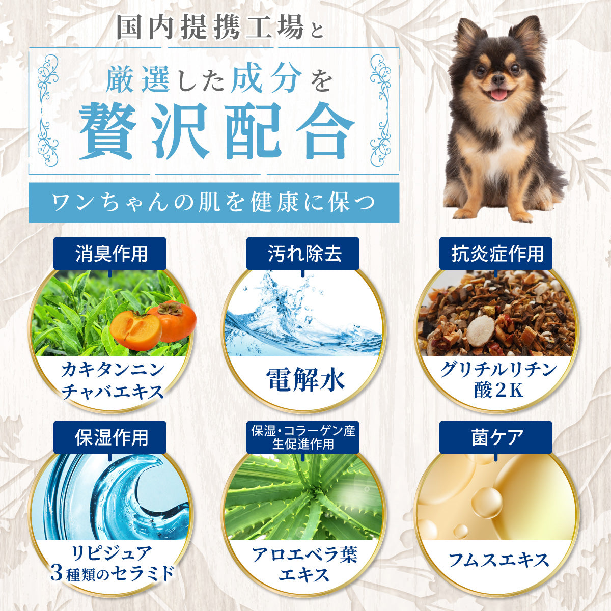 【犬用】イヤークリーナー PREMIUM 120ml