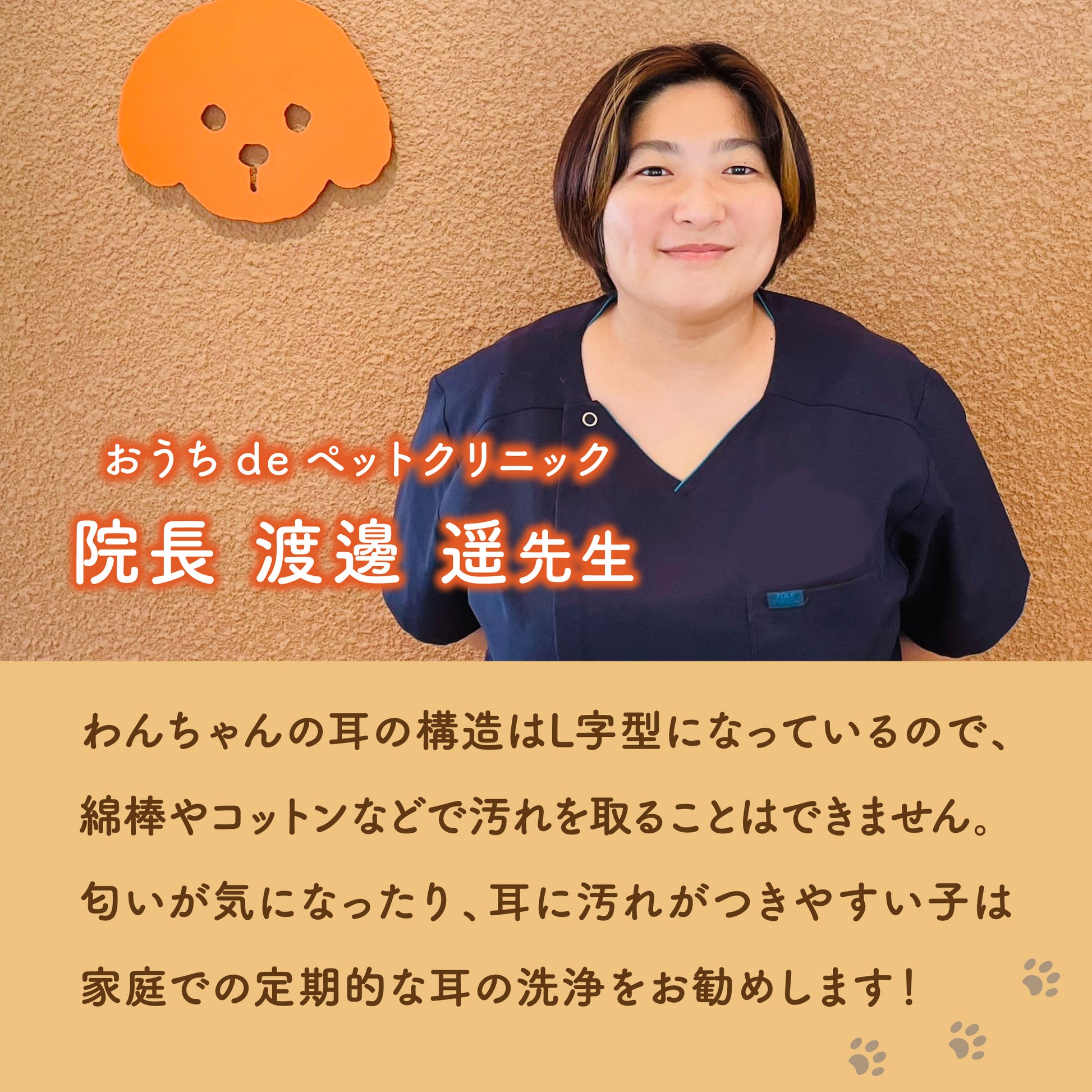 【犬用】イヤークリーナー