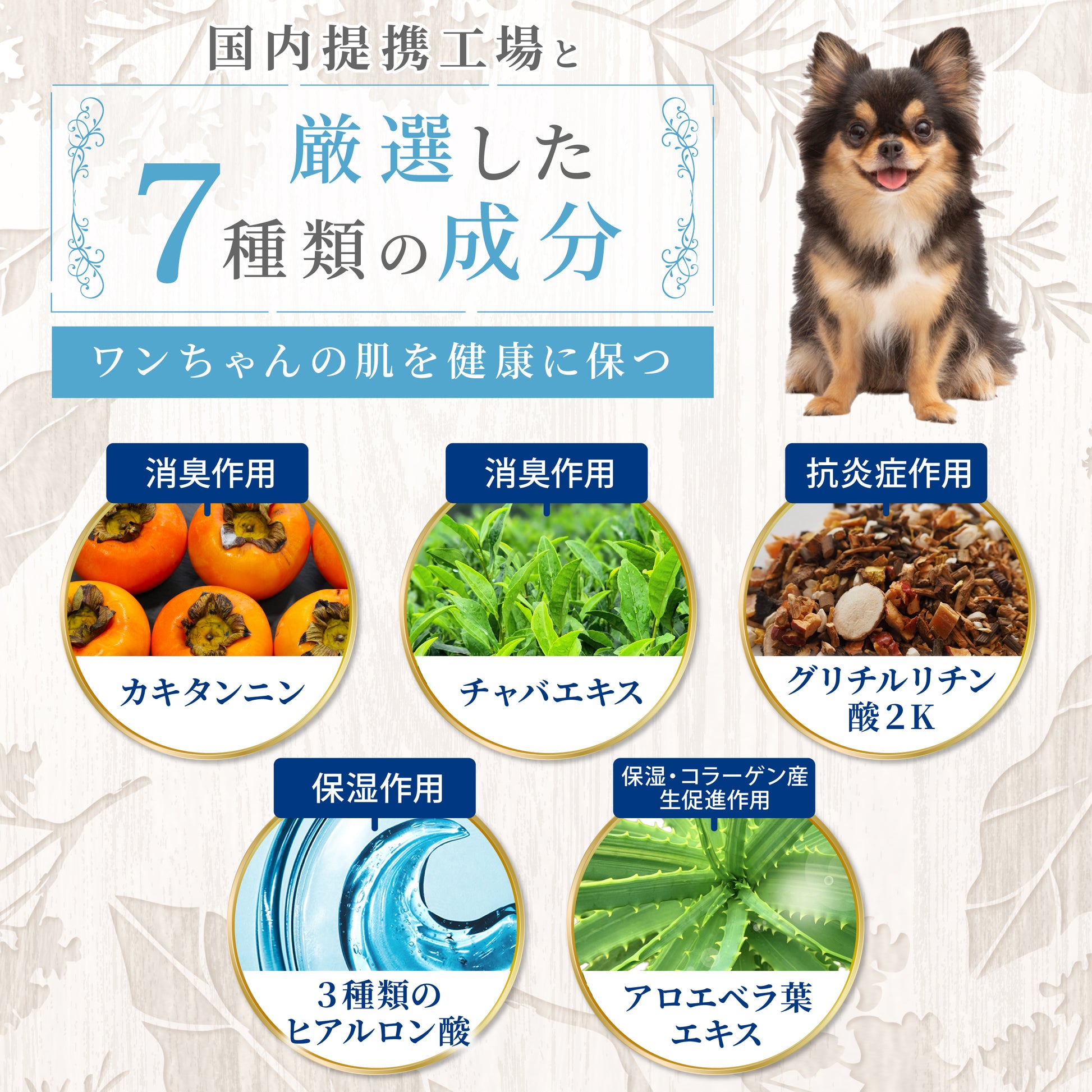 【犬用】イヤークリーナー