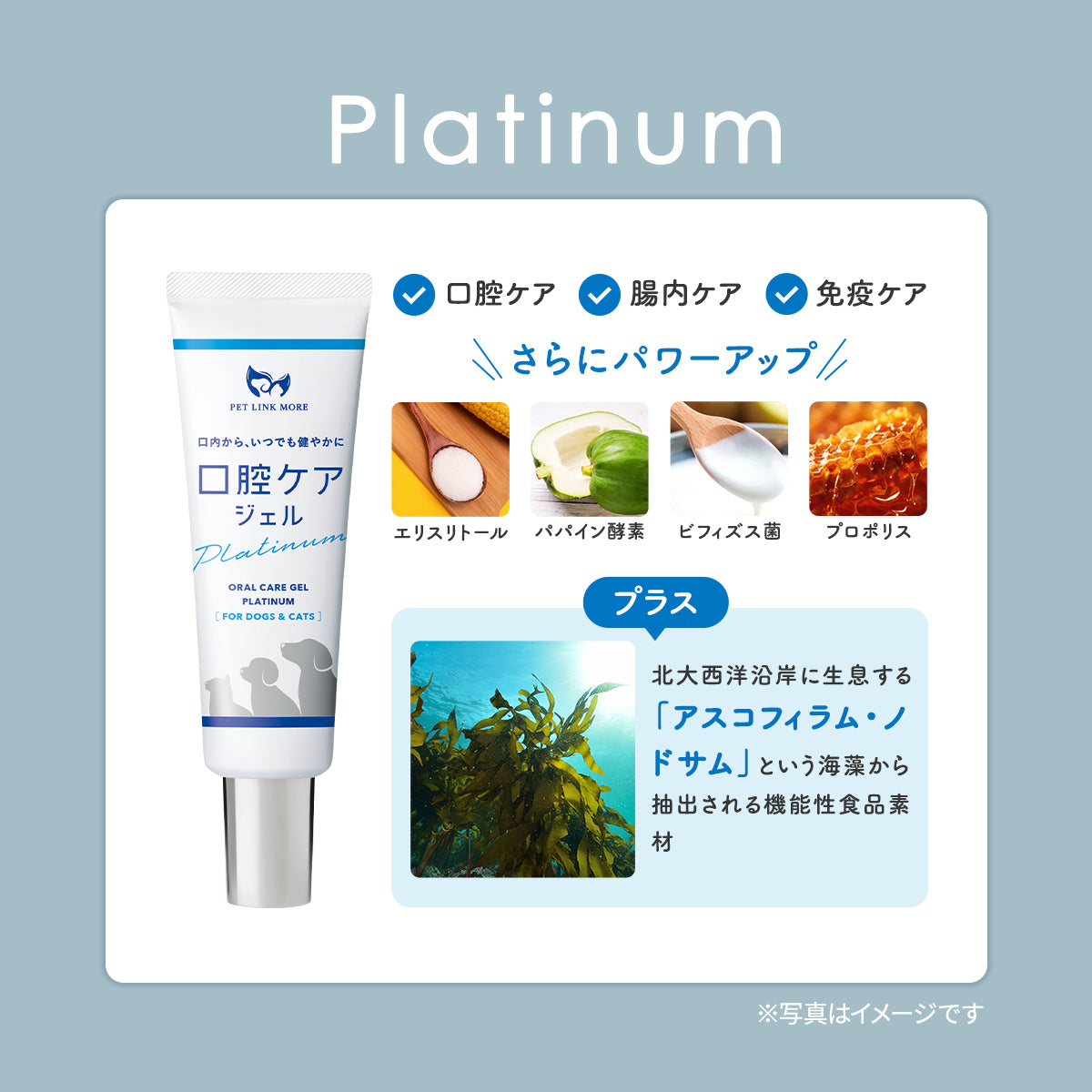 【犬・猫用】口腔ケア ジェル 30g