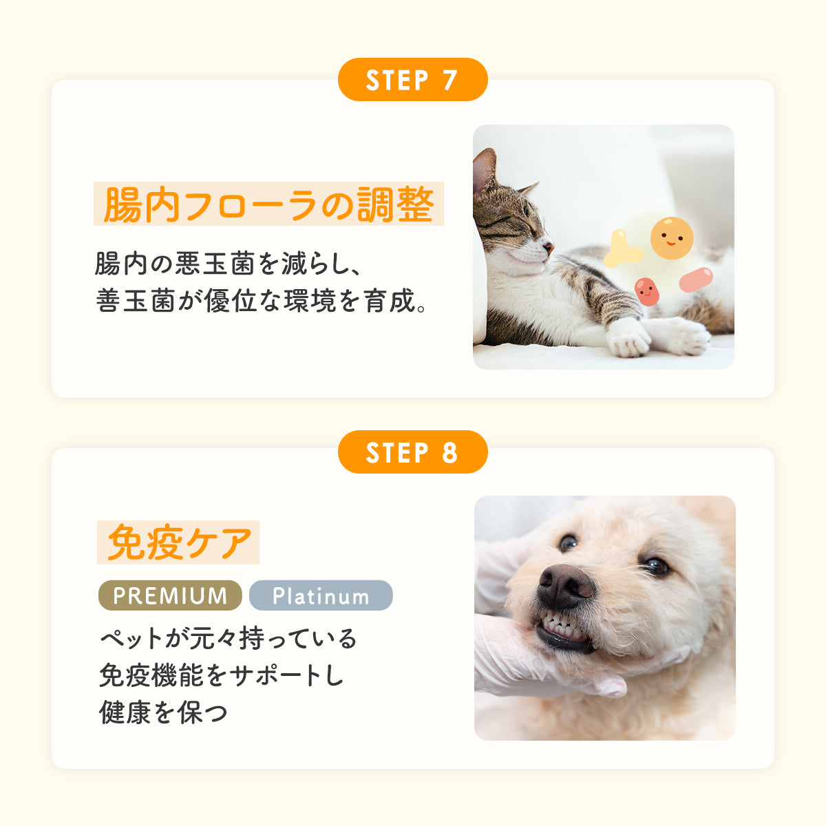 【犬・猫用】口腔ケア ジェル 30g