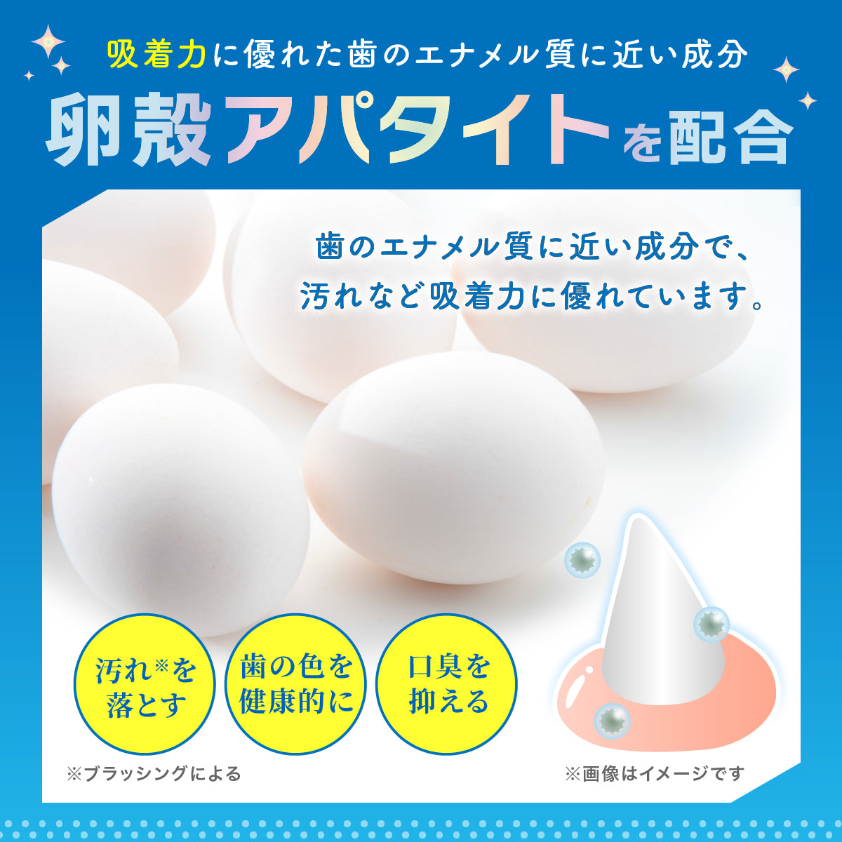 【犬・猫用】口腔ケア ジェル 30g