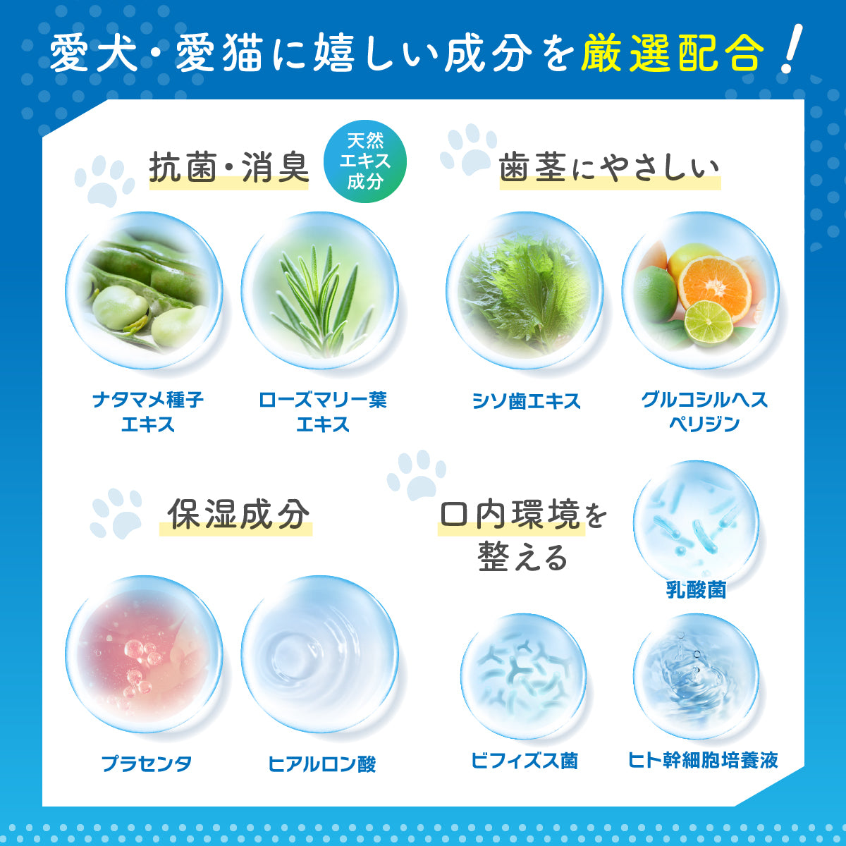 【犬・猫用】口腔ケア ジェル 30g