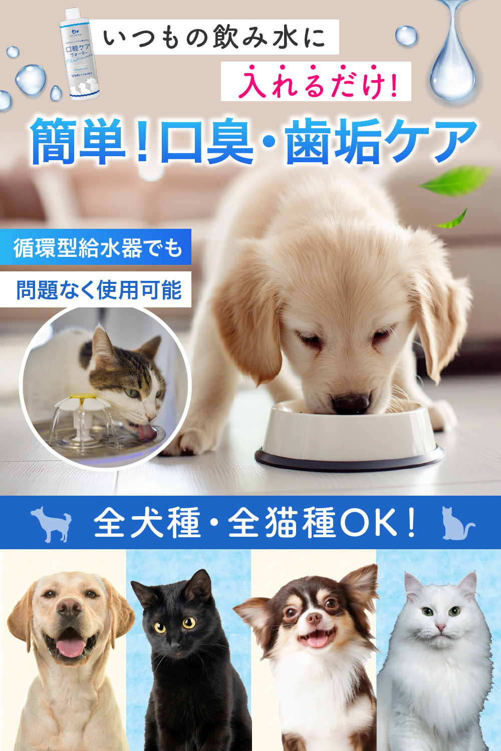 【犬・猫用】口腔ケアウォーター Platinum