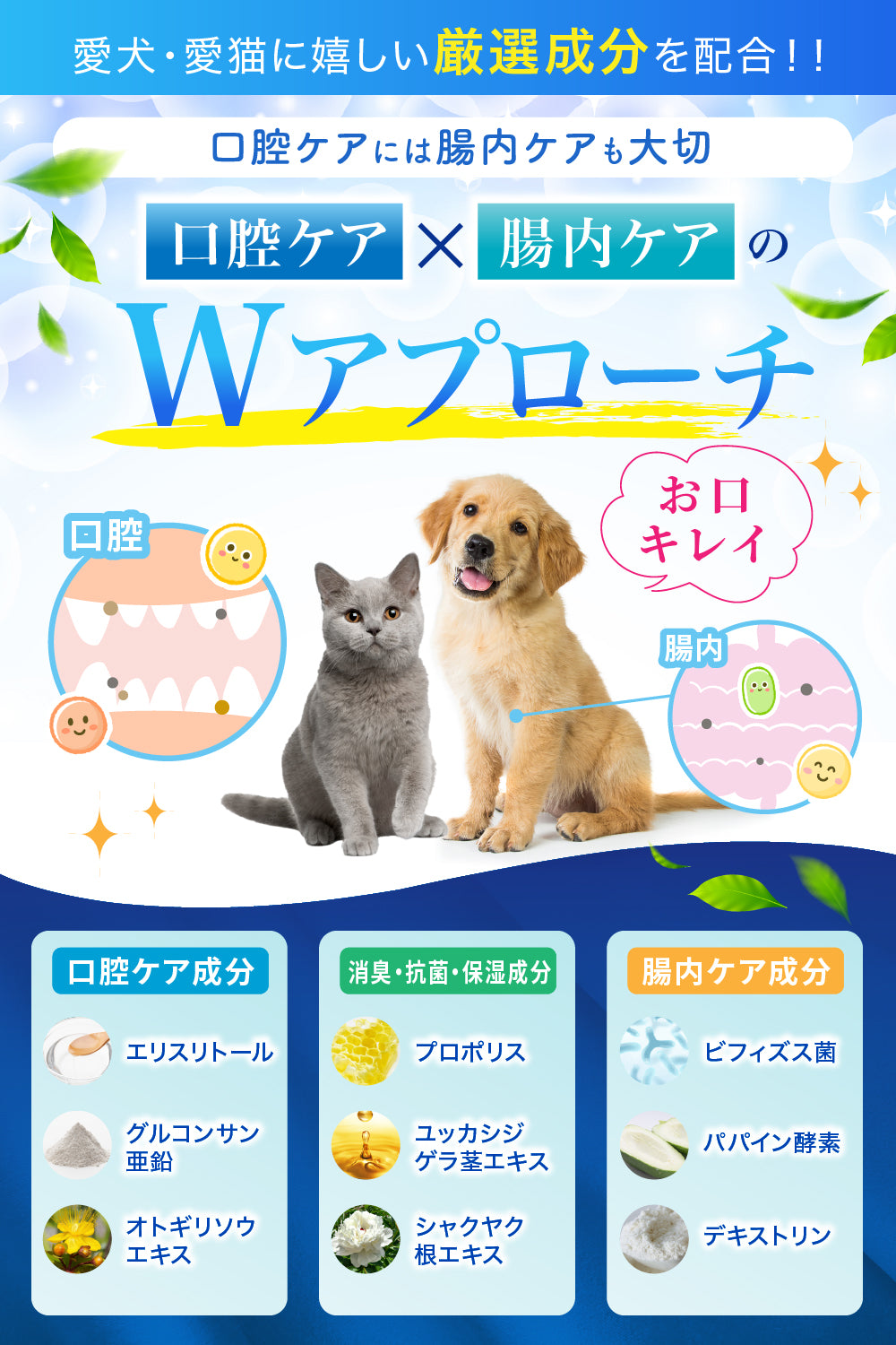 【犬・猫用】口腔ケアウォーター Platinum