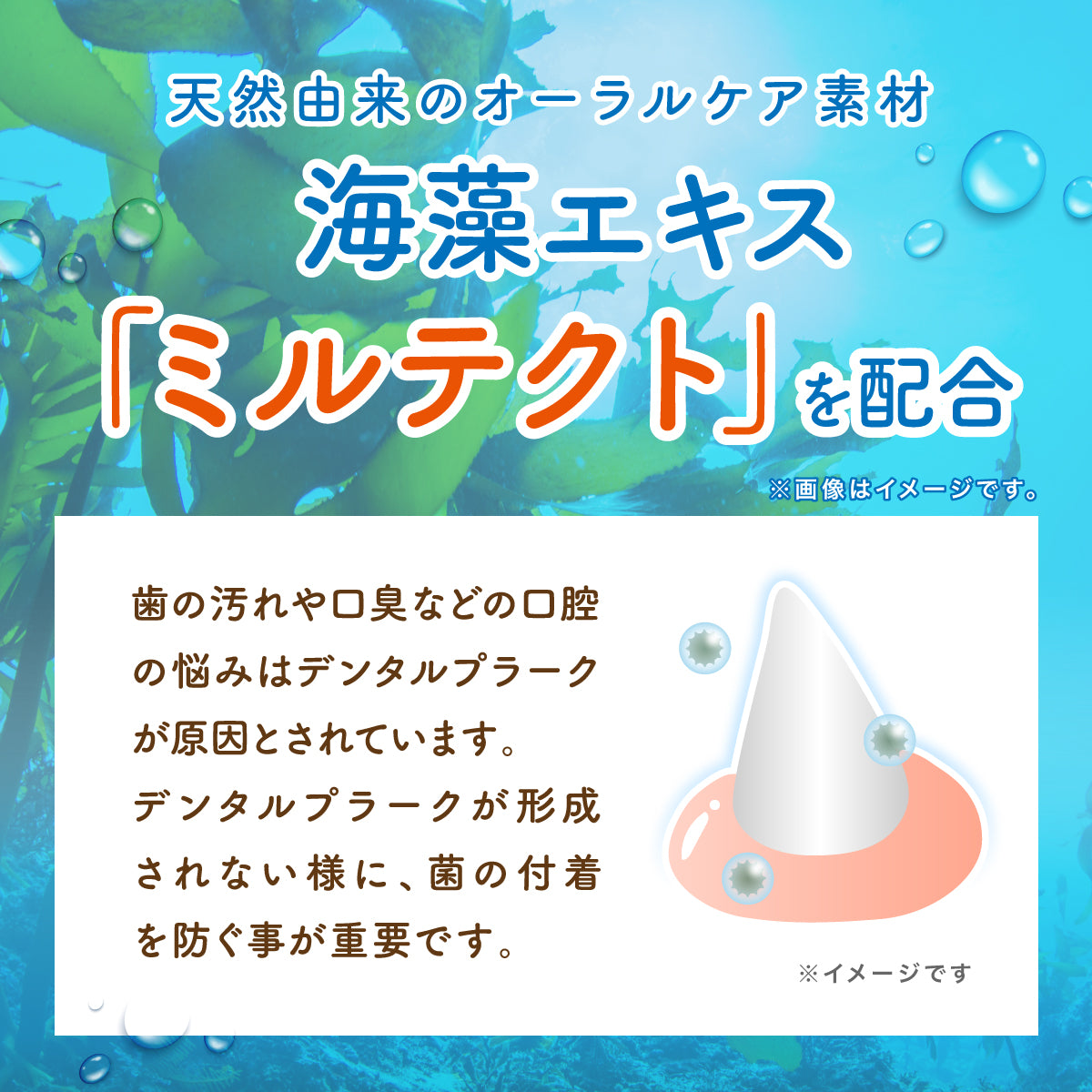【犬・猫用】口腔ケアウォーター PREMIUM