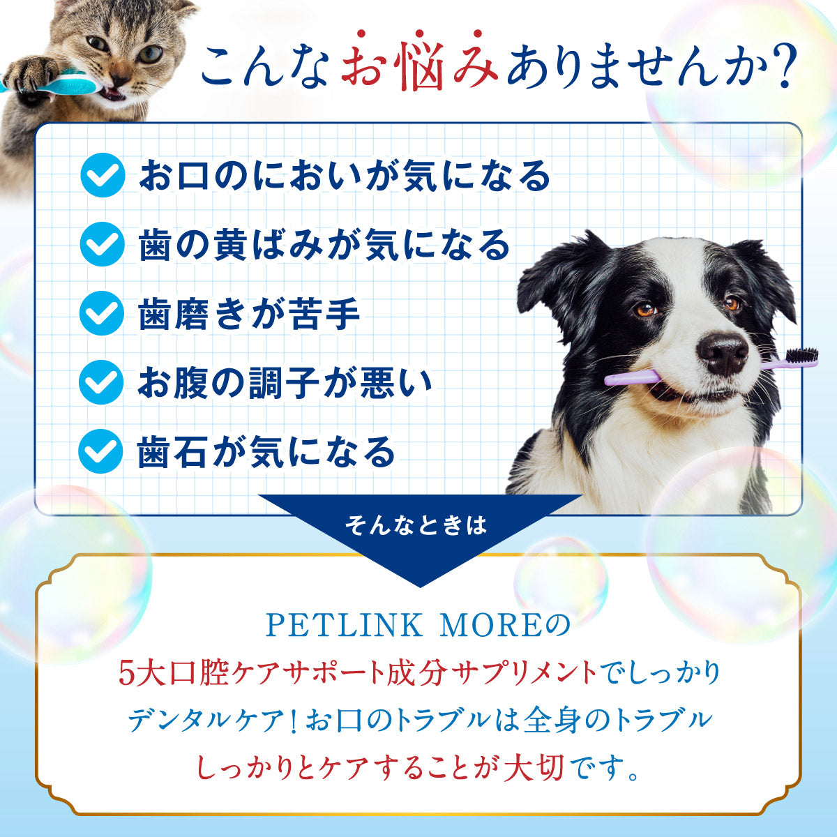 口腔ケアサプリメント（犬猫用) Amazon.co.jp: ［ 犬猫用 ］マンマ 口腔ケアサプリメント 犬 猫 歯磨き