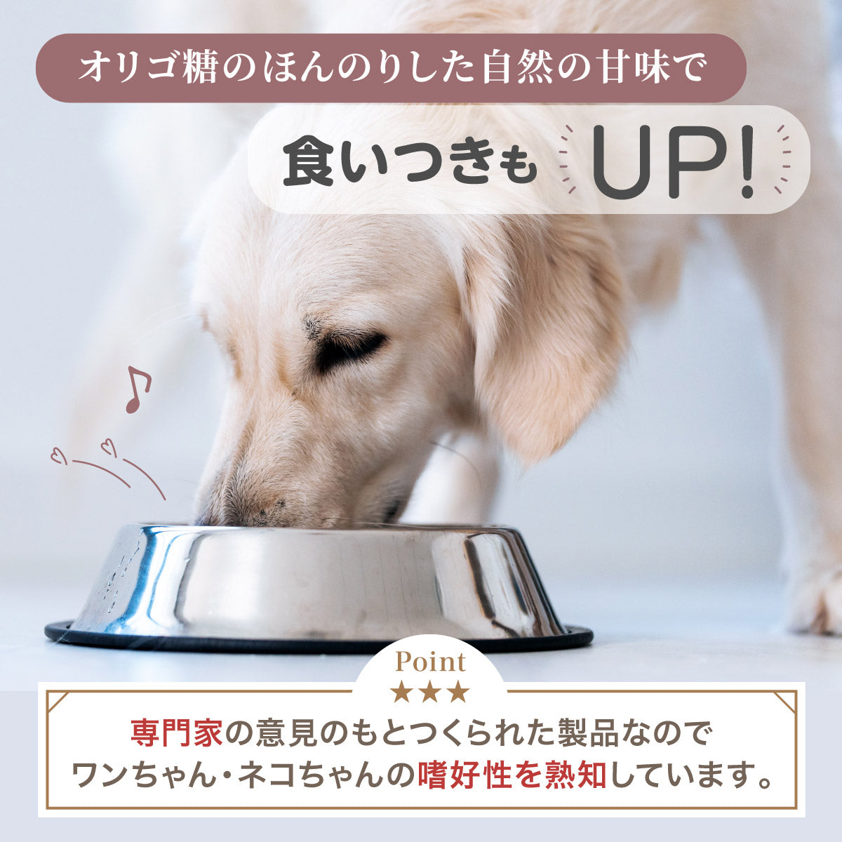 【犬・猫用】口腔ケア サプリメント 粉末