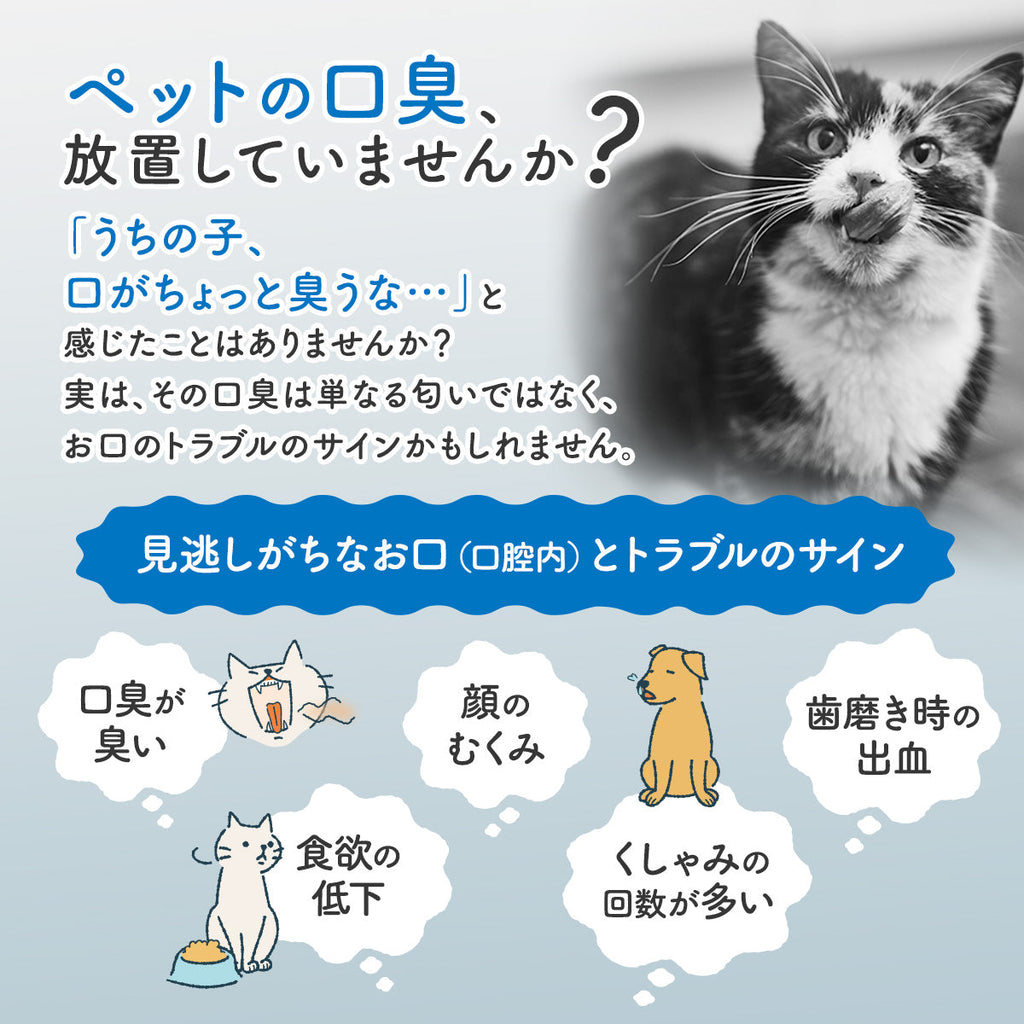 見逃せないお口のトラブルのサイン