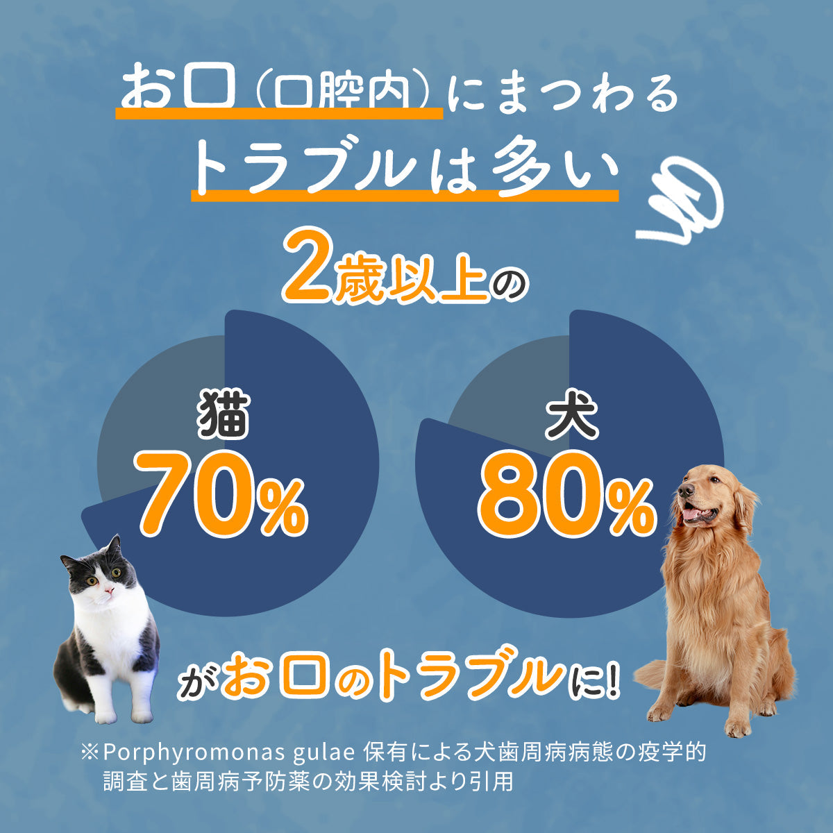 お口のトラブルは多い
