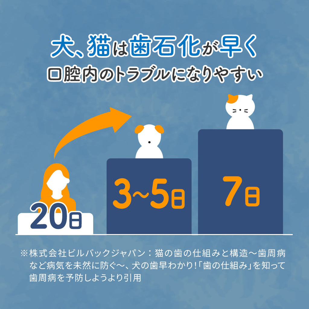 犬猫は歯石化が早く口腔内のトラブルになりやすい