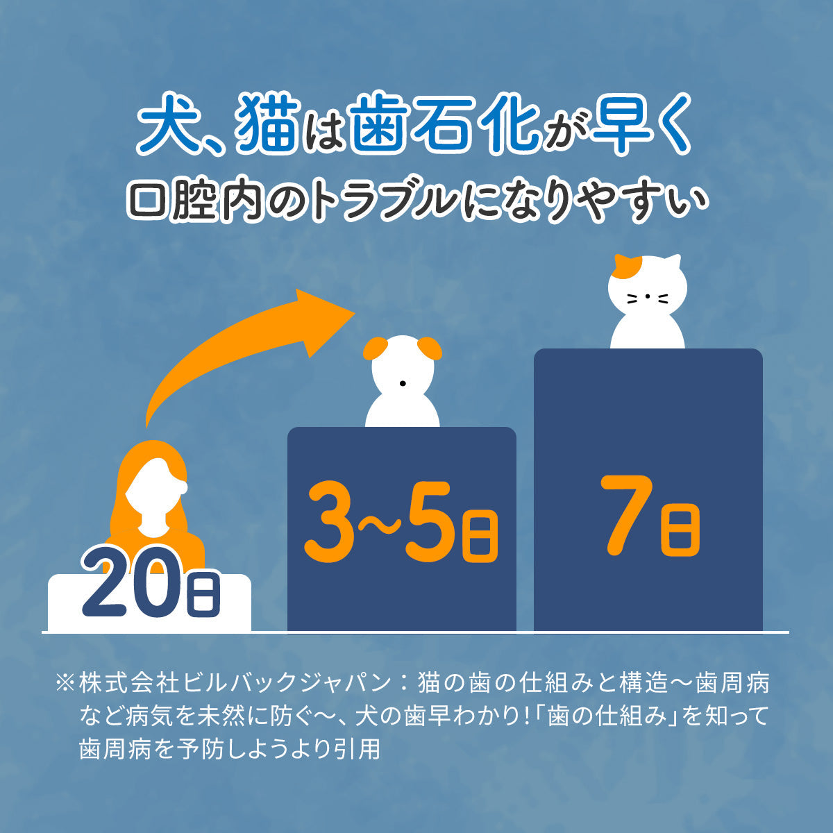 犬猫は歯石化が早く口腔内のトラブルになりやすい