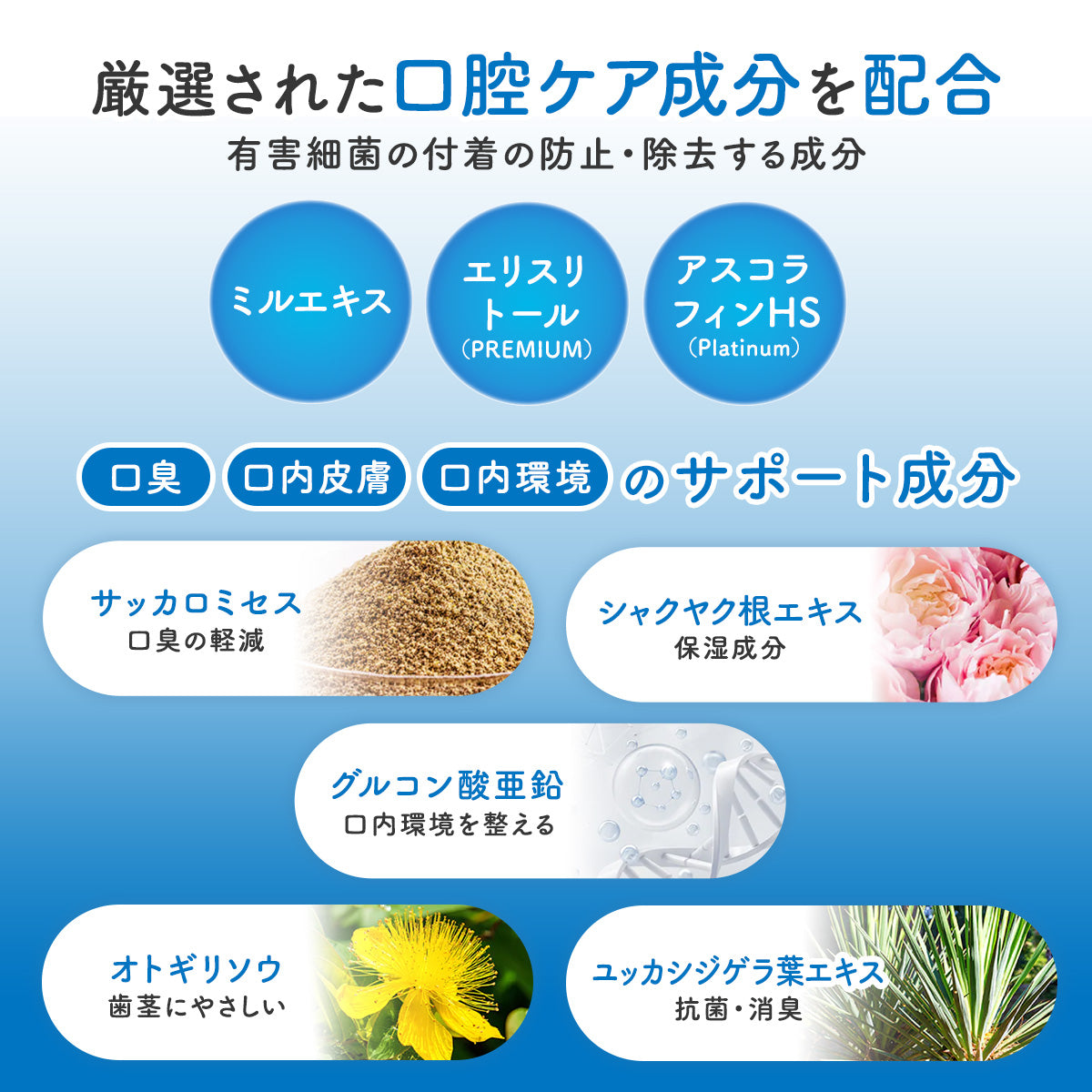 【犬・猫用】口腔ケアウォーター PREMIUM