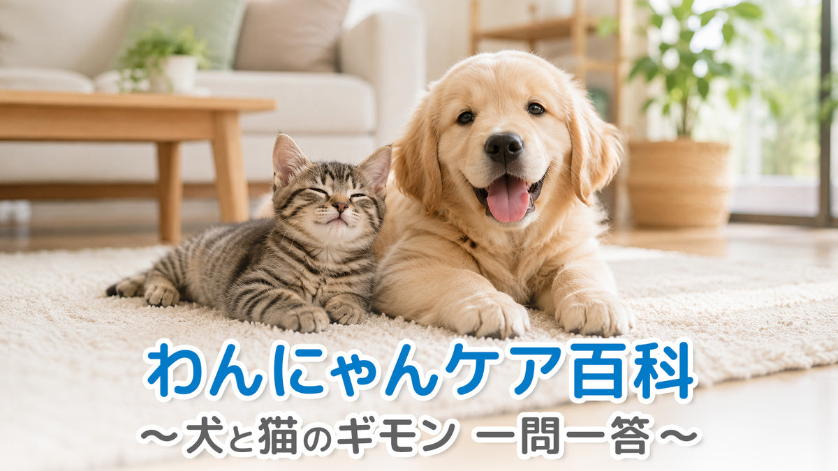 わんにゃんケア百科