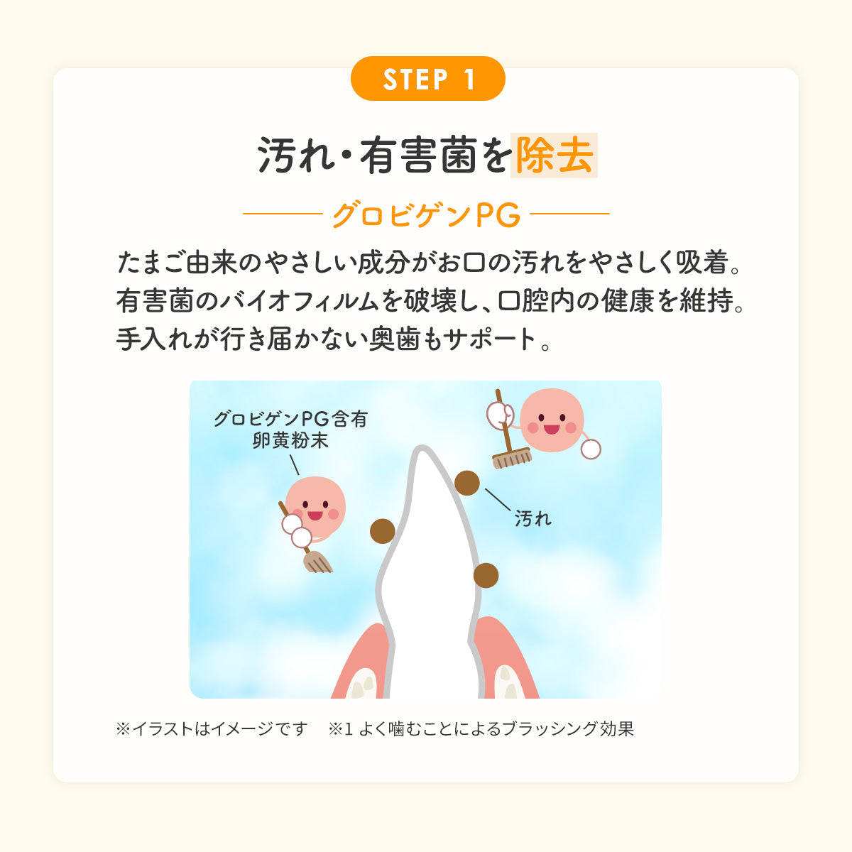 【犬・猫用】口腔ケア サプリメント PREMIUM 粉末