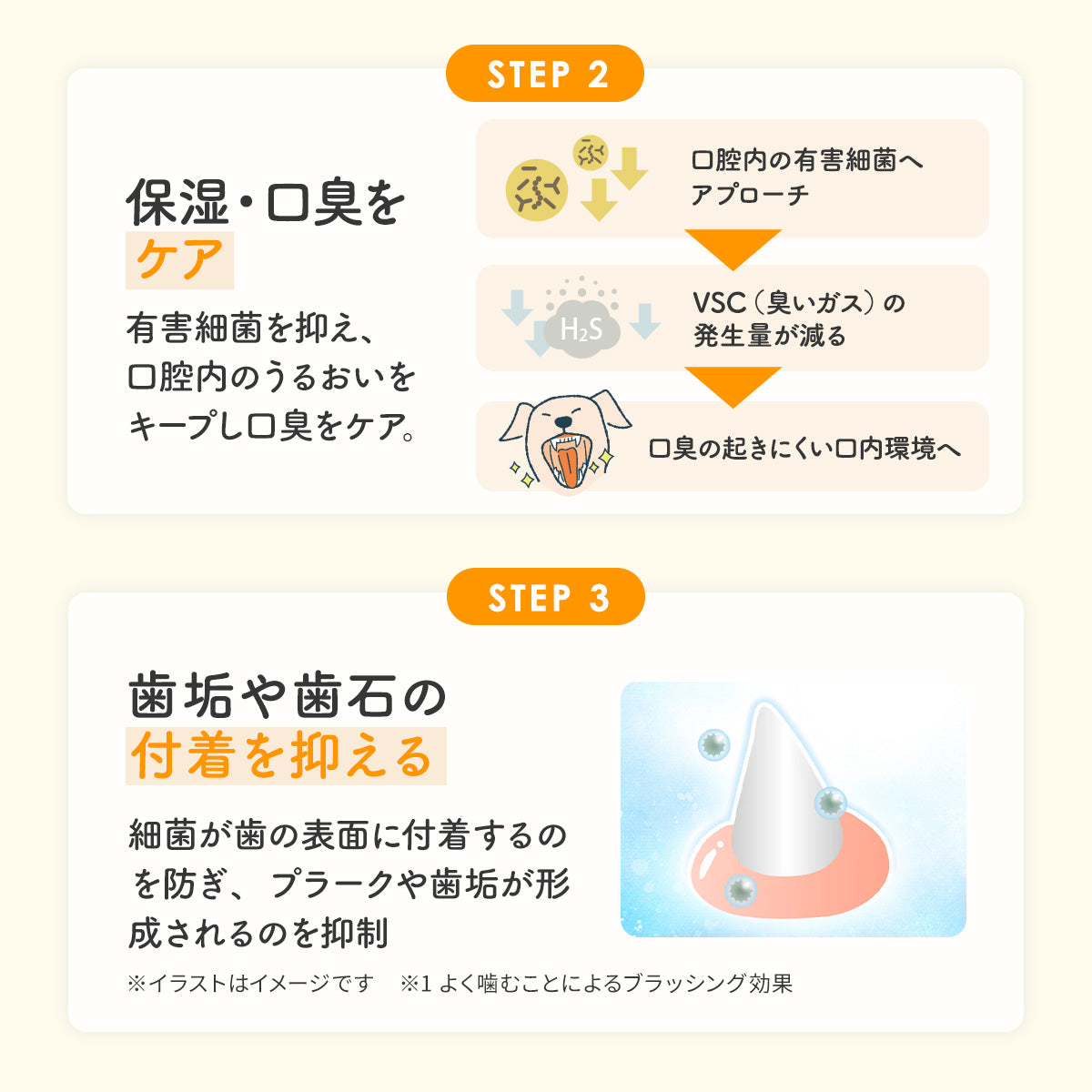 犬・猫用】口腔ケア サプリメント PREMIUM 粉末 – PET LINK MORE 公式