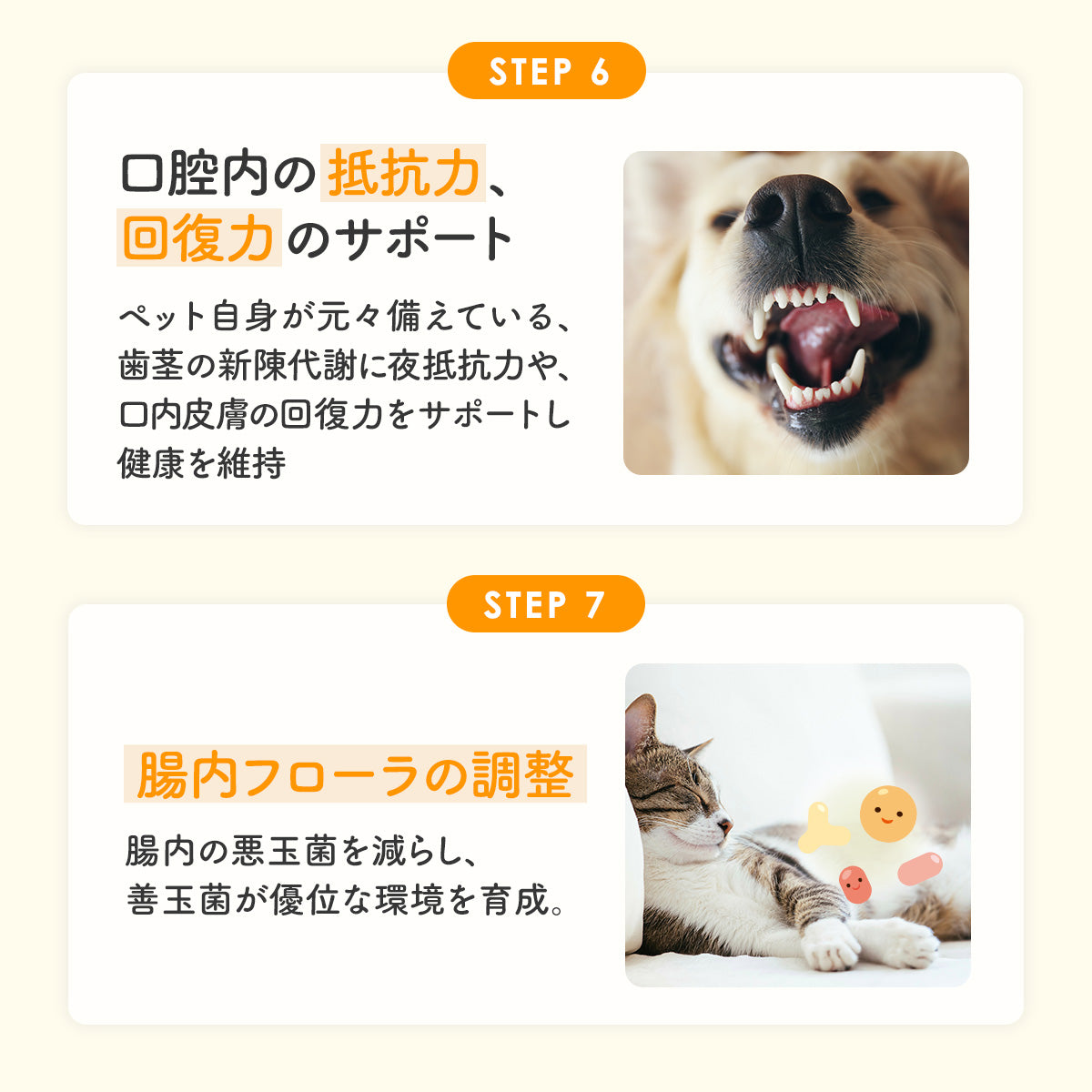 犬・猫用】口腔ケア サプリメント PREMIUM チキン味 錠剤60粒 – PET